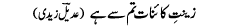 zeenat-e-kainat